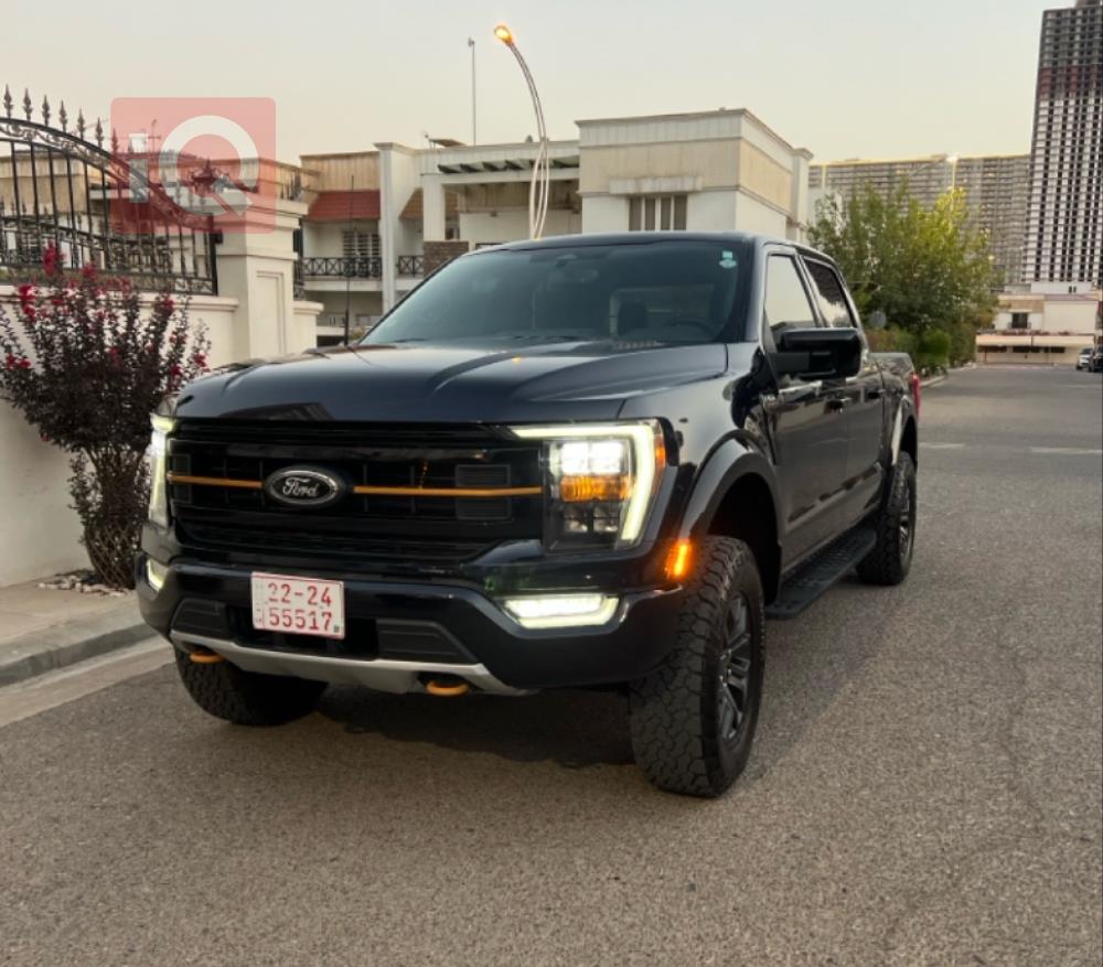 فۆرد F-150